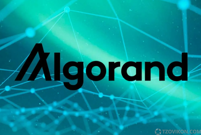 
                            Криптовалюта Algorand (ALGO)
                         - отзывы