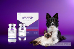 
                            Средства для наркоза «Везотил»
                         - отзывы